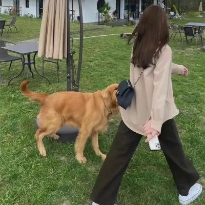 魔物恋人